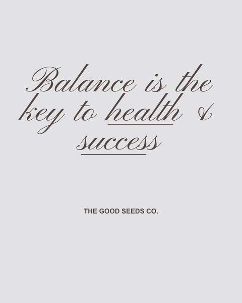 Balance Crew in Chocolate